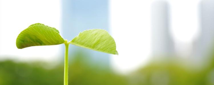 Módulo Sustentabilidade Módulo Sustentabilidade