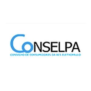 organizador organizador